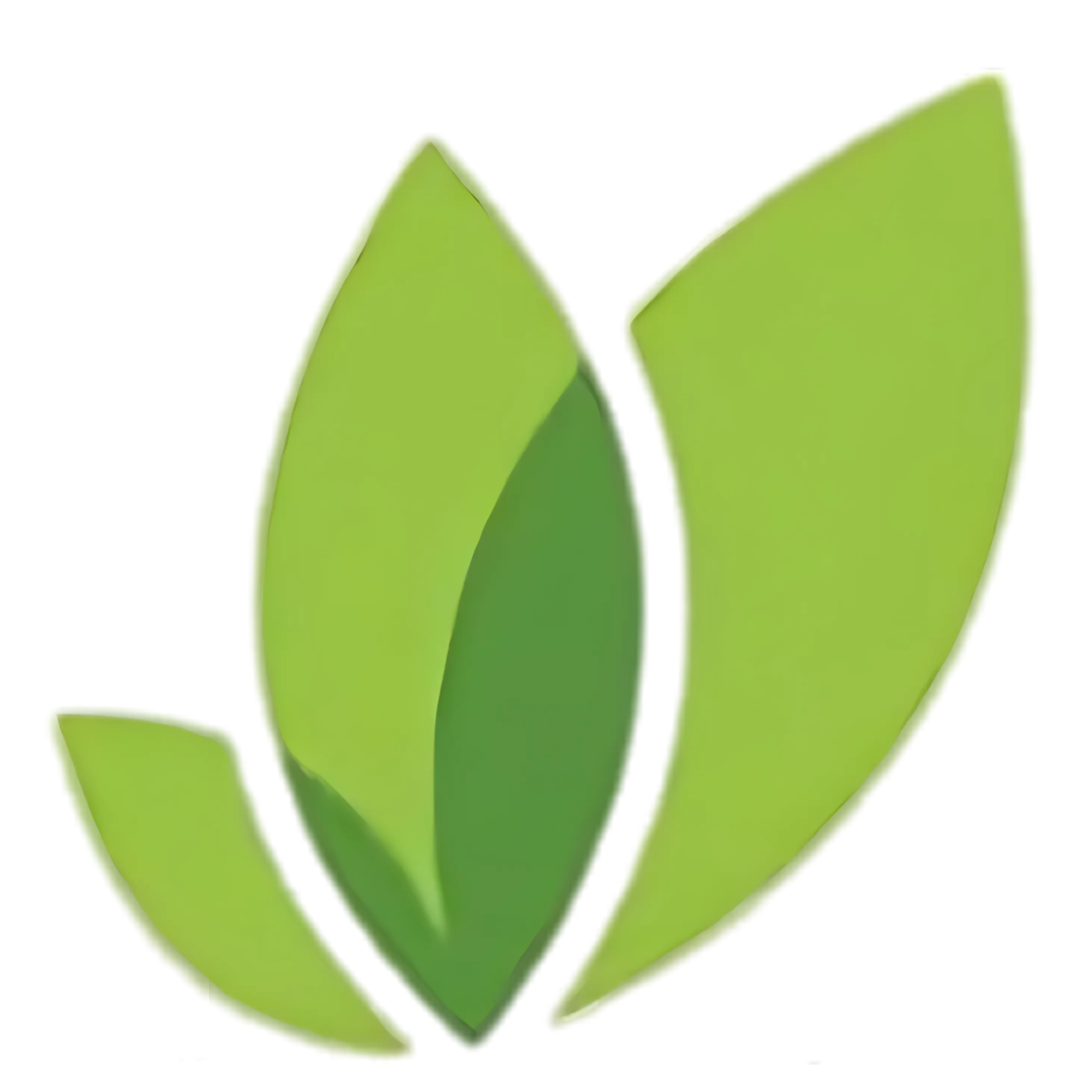 JOTAR Logo